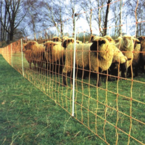 Elektromreža za pašo ovc